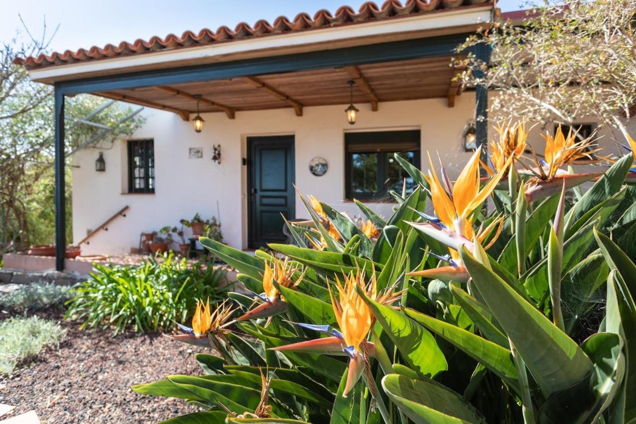 Live La Laguna Casita Vieja 外观 照片