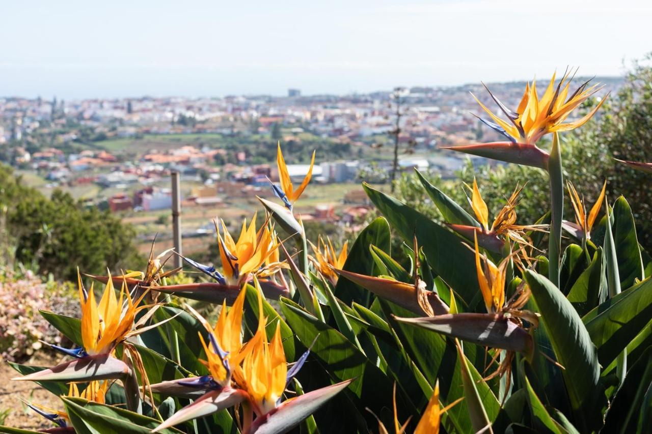 Live La Laguna Casita Vieja 外观 照片